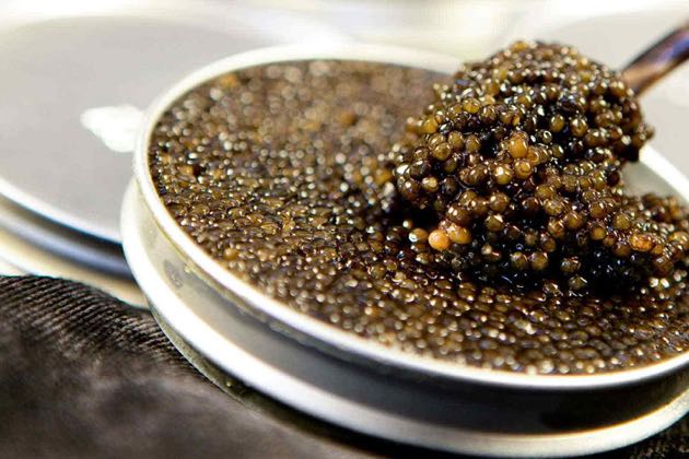 le caviar